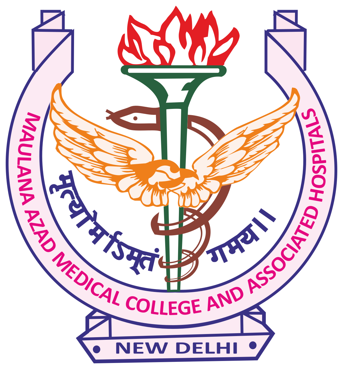 Maulana_Azad_Medical_College_logo.svg