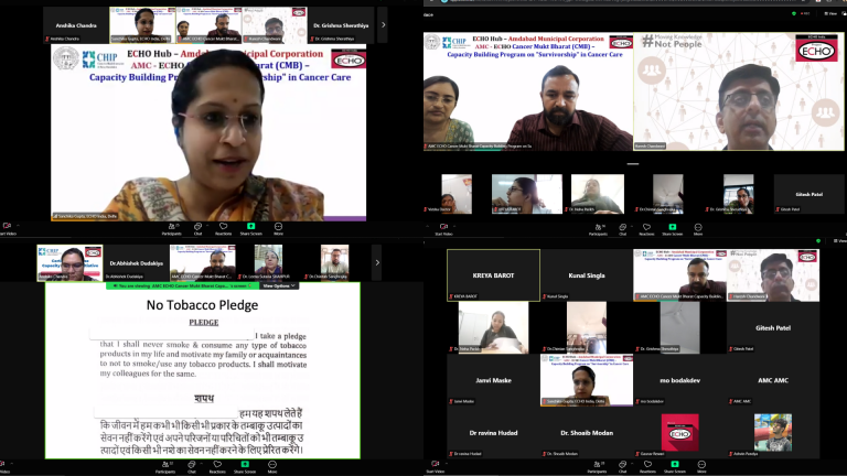 AMC CHIP (2)